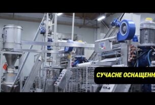 Комплекс з виробництва заморожених напівфабрикатів ТОВ «Ромєрм»: триває конкурс на пошук управителя