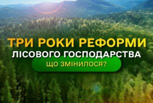 Результати ЛІСОВОЇ РЕФОРМИ - що отримала УКРАЇНА? / ДП "Ліси України"