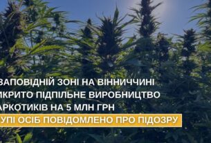 У заповідній зоні на Вінниччині викрито підпільне виробництво наркотиків на 5 млн грн