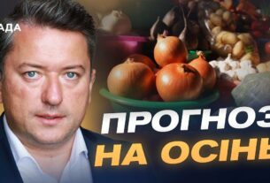 Прогноз цін на м'ясо, олію та овочі: що зміниться у жовтні | Дмитро Соломчук