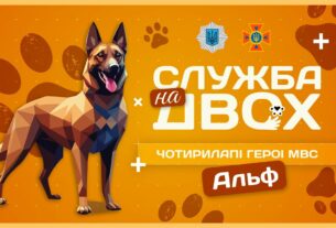 🧨 АЛЬФ — рятувальний пес-піротехнік | Служба на двох
