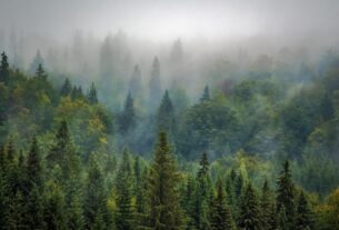Новини культури - Гороскоп для всіх знаків зодіаку на 5 вересня 2025 року