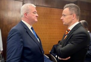Новини України - МЗС показало "сліпим" угорцям маршрут дрона на Закарпатті