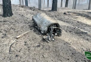 Новини України - На Черкащині через російські ракети пошкоджено майже 6 гектарів лісу