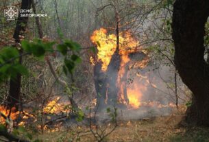 Новини України - На Хортиці спалахнула масштабна пожежа