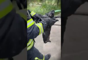 Кожне_життя_важливе