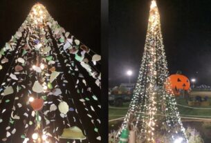 Новини світу - Американець створив 4,5-метрову ялинку з морського скла