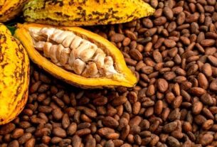 Новини світу - Какао-боби дешевшають на тлі очікувань високого врожаю в Африці