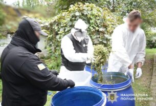 Новини України - На Київщині вилучили наркотиків на 15 млн грн