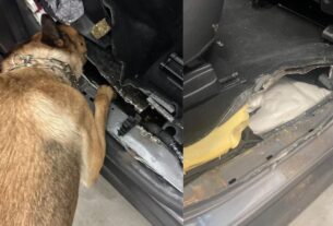 Новини України - На Львівщині в авто виявили 27 кг наркотиків з Польщі