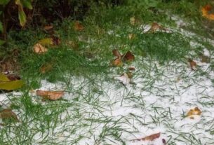 Новини Києва - Під Києвом випав перший сніг - соцмережі