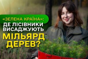 Замість уламків РАКЕТ - молодий ЛІС / ДП "Ліси України" завершує програму Президента ЗЕЛЕНА КРАЇНА
