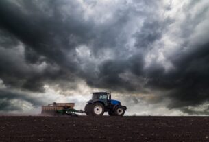 Новини бізнесу - Українські аграрії засіяли 74% озимих культур