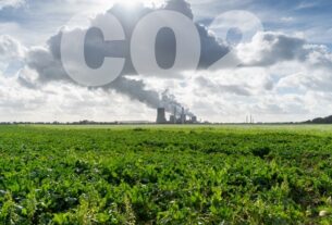 Новини світу - В ООН заявили про рекордне зростання рівня CO2 в атмосфері