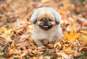 Новини України - В Україну йде потепління