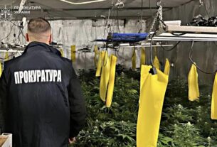 Новини України - Вирощування коноплі у підвалі будинку: викрито групу наркоділків