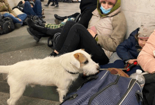 Новини України - Загроза балістики: Київ та області України у тривозі