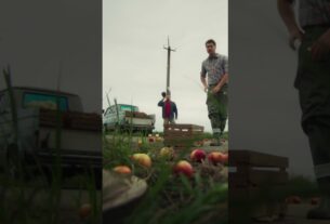 💣 Кожна поїздка — непередбачуваність.