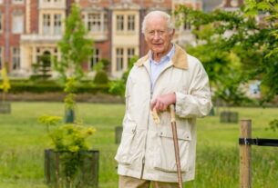 Новини культури - Букінгемський палац оприлюднив новий портрет монарха