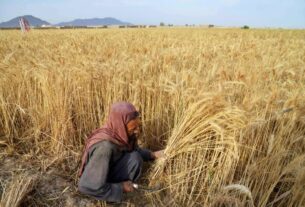 Новини світу - До Росії завозитимуть трудових мігрантів з Афганістану