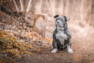 Новини культури - Гороскоп для всіх знаків зодіаку на 20 листопада 2025 року