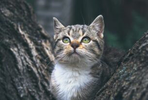 Новини культури - Гороскоп для всіх знаків зодіаку на 25 листопада 2025