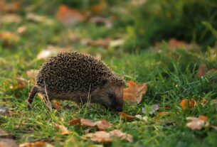 Новини культури - Гороскоп для всіх знаків зодіаку на 4 листопада 2025 року