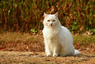 Новини культури - Гороскоп для всіх знаків зодіаку на 5 листопада 2025 року