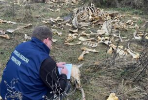 Новини України - Під Харковом виявлено масовий скид кісток великої рогатої худоби