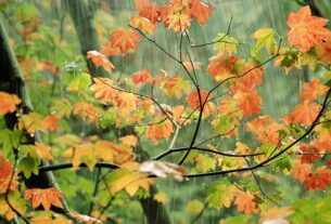 Новини України - Синоптики дали прогноз погоди на вихідні