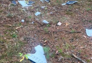 Новини України - У лісі на Чернігівщині здетонував дрон, поранені двоє підлітків