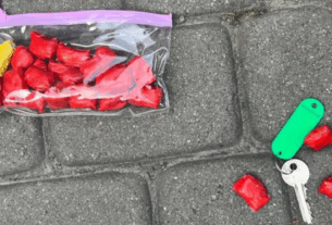 Новини України - У Львові судитимуть жінку, яка залучала 5-річну доньку до збуту наркотиків