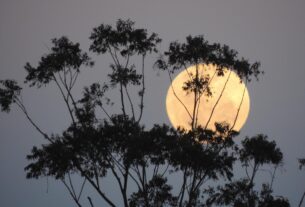 Технології - У ніч на 5 листопада небо освітить Бобровий Місяць