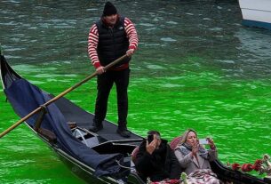 Новини світу - У Венеції засудили Ґрету Тунберґ через акцію з фарбуванням води