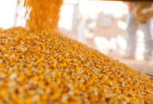 Новини бізнесу - Україна завершує жнива: результати за 2025 рік та прогнози на 2026-й