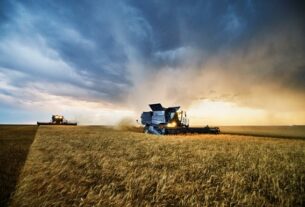 Новини України - Укргідрометцентр прогнозує хороший врожай озимих