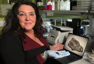 Технології - В Естонії знайшли смолу, яку жувала дівчина кам’яної доби