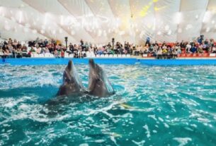 Новини України - В Одесі будівлю дельфінарію Немо арештували за борги