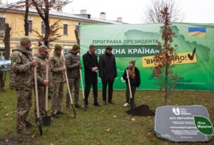 Новини України - В Україні висадили мільярдне "дерево Зеленського"