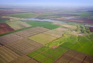 Новини бізнесу - В Україні за чотири роки реалізували понад 30 тисяч земельних ділянок