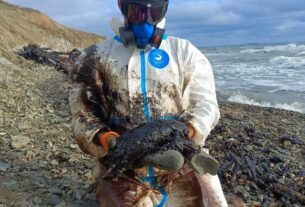 Новини України - Величезні мазутні плями зафіксували в Керченській протоці - соцмережі