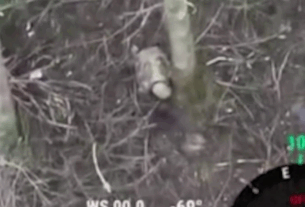 Новини України - Військовий РФ покинув товариша стікати кров’ю на полі бою