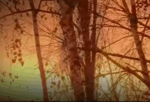 Новини України - ЗСУ уразили російський НПЗ та склад дронів в Криму