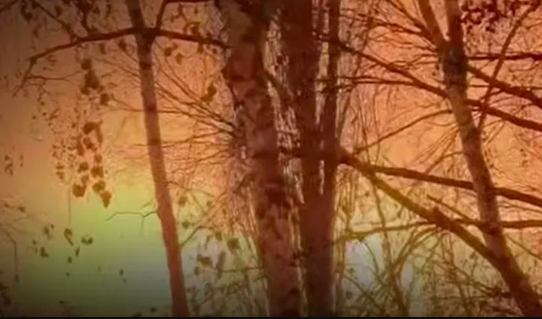 Новини України - ЗСУ уразили російський НПЗ та склад дронів в Криму