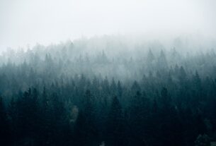 Новини України - Без опадів, але з туманами: погода на початку тижня