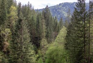 Новини України - До суду скерували справу щодо незаконної передачі землі у Мигово