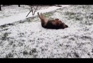 Життя сильніше за війну, а любов здатна на справжні дива!