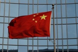 Новини світу - Китай таємно постачає російські пиломатеріали до Європи