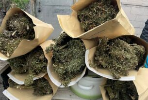 Новини України - На Харківщині у наркозбувачів вилучили понад 10 кг канабісу