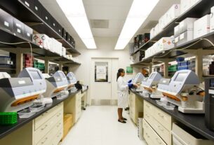 Технології - Ожиріння суттєво пришвидшує розвиток хвороби Альцгеймера - дослідження